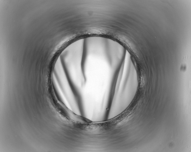 X0000093600444200711051201