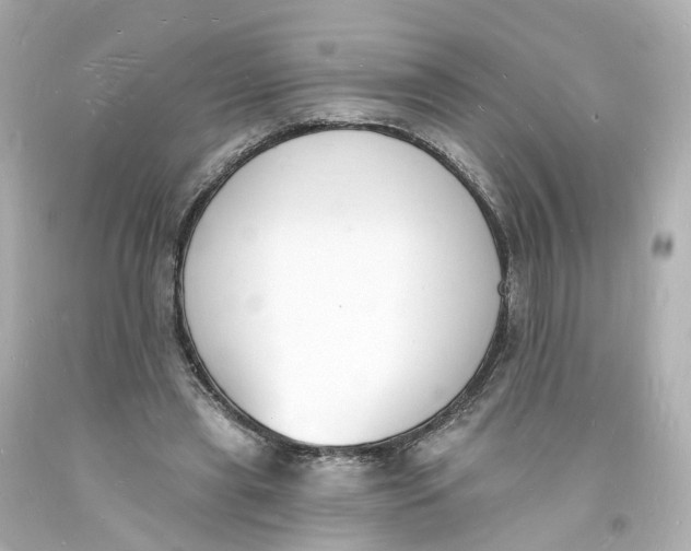 X0000093600445200711051201