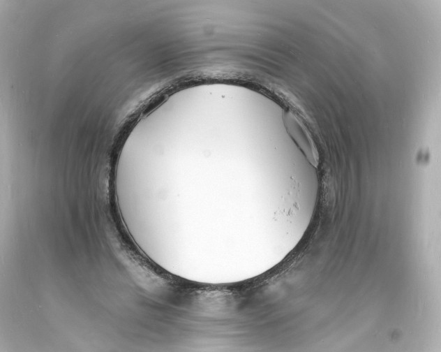 X0000093600446200711051201