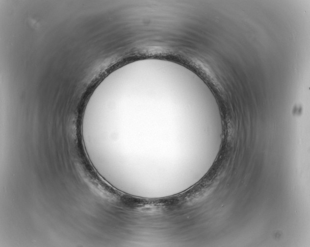 X0000093600447200711051201