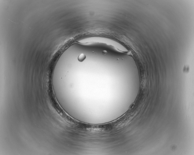 X0000093600448200711051201