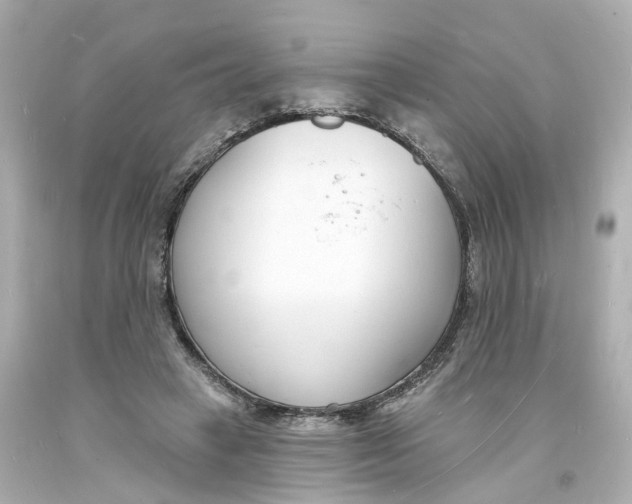 X0000093600449200711051202