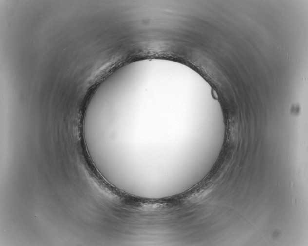 X0000093600450200711051202