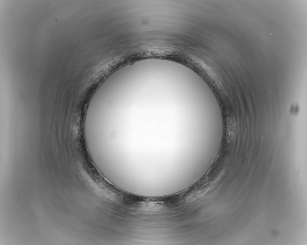 X0000093600451200711051202