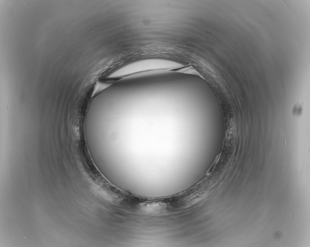 X0000093600452200711051202