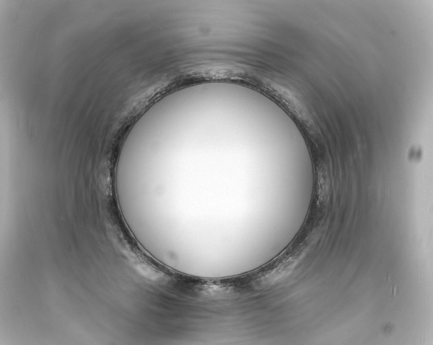 X0000093600453200711051202