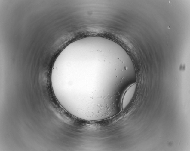 X0000093600455200711051202