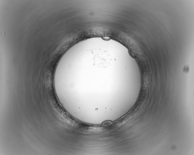 X0000093600457200711051202