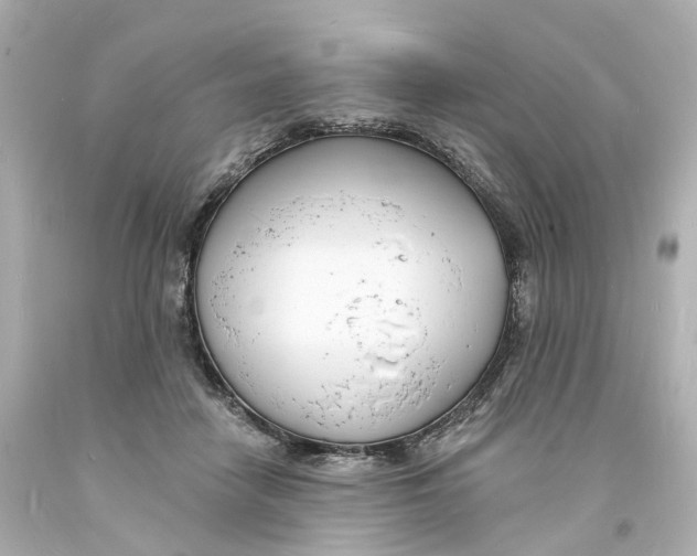 X0000093600458200711051202