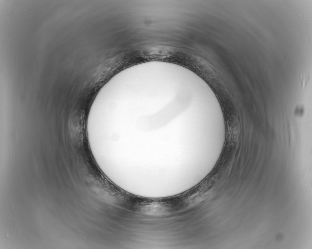 X0000093600460200711051202