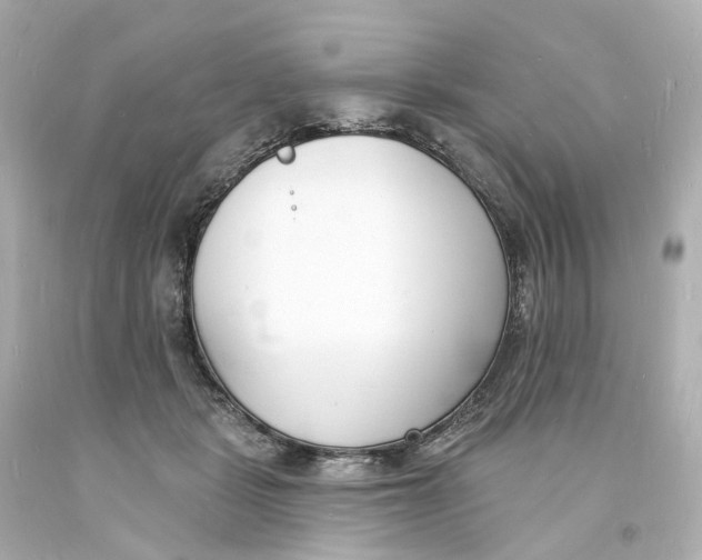 X0000093600461200711051202