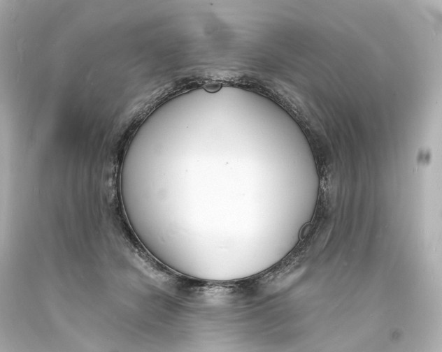 X0000093600462200711051202