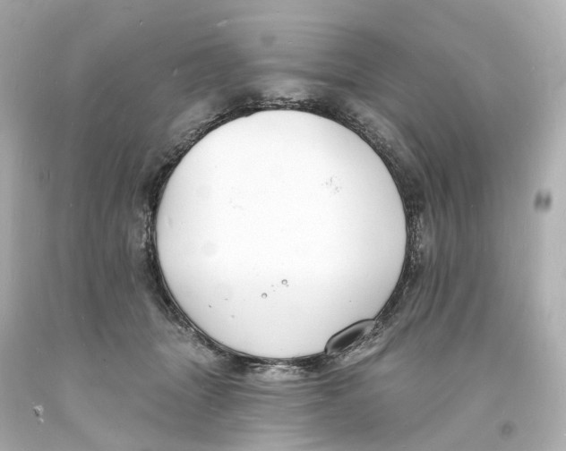 X0000093600463200711051202