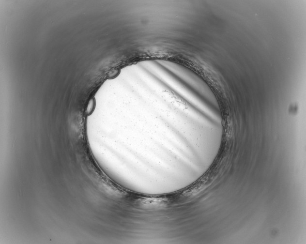 X0000093600465200711051202