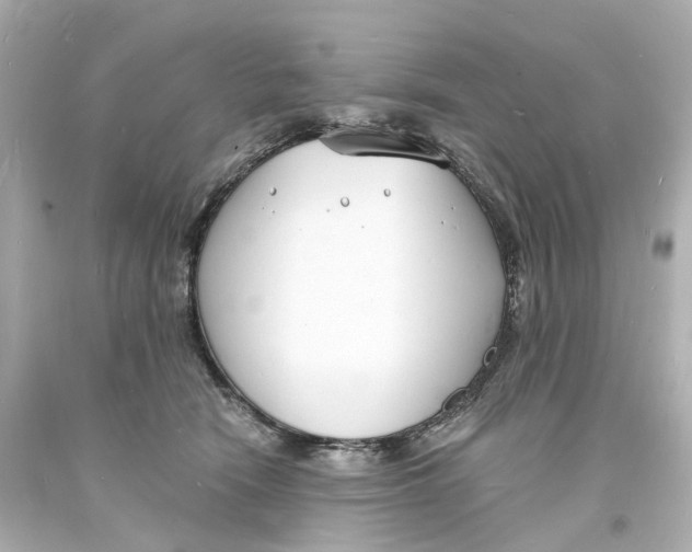 X0000093600466200711051202