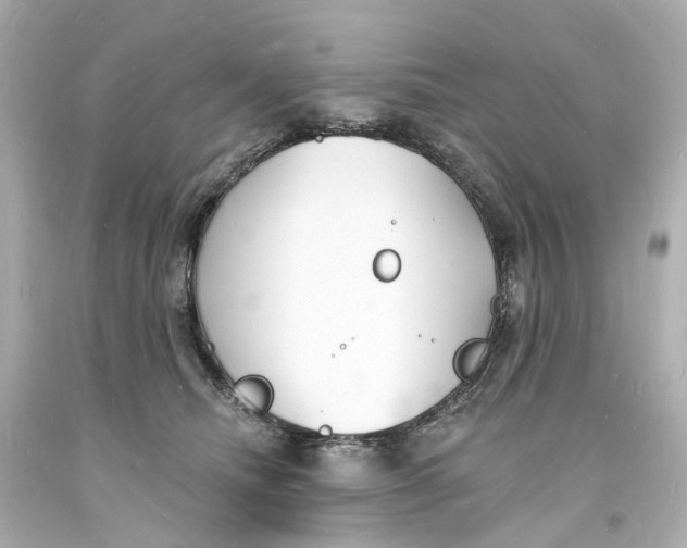 X0000093600468200711051202