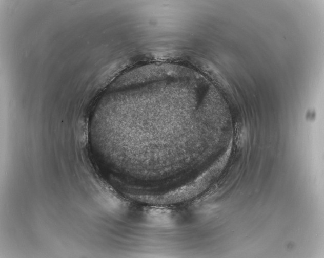 X0000093600471200711051202