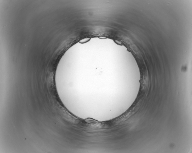 X0000093600473200711051202