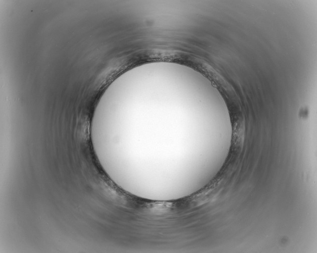 X0000093600474200711051202