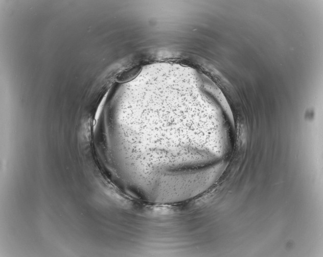 X0000093600475200711051202