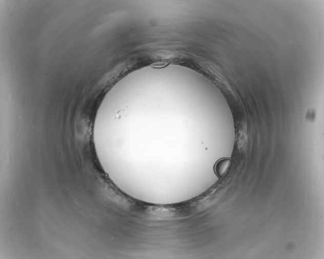 X0000093600476200711051202