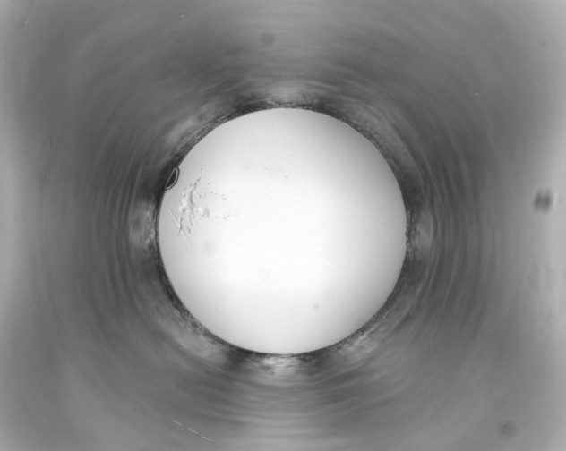 X0000093600478200711051202