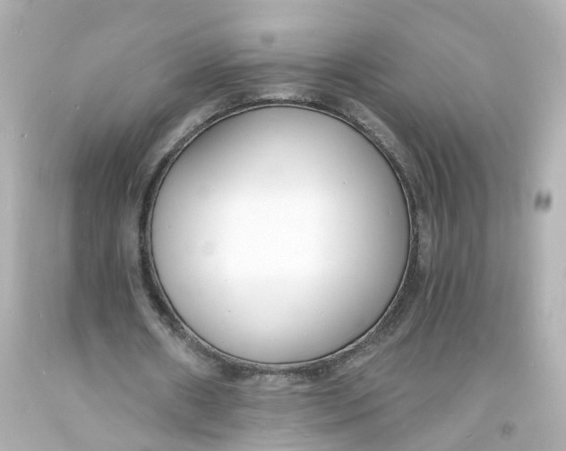 X0000093600482200711051201