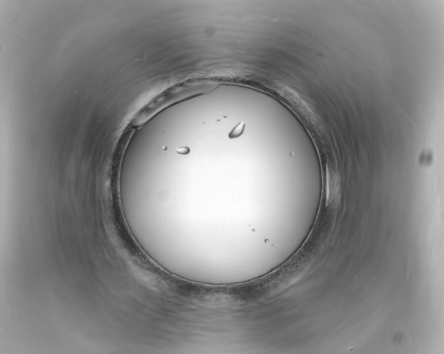 X0000093600483200711051201