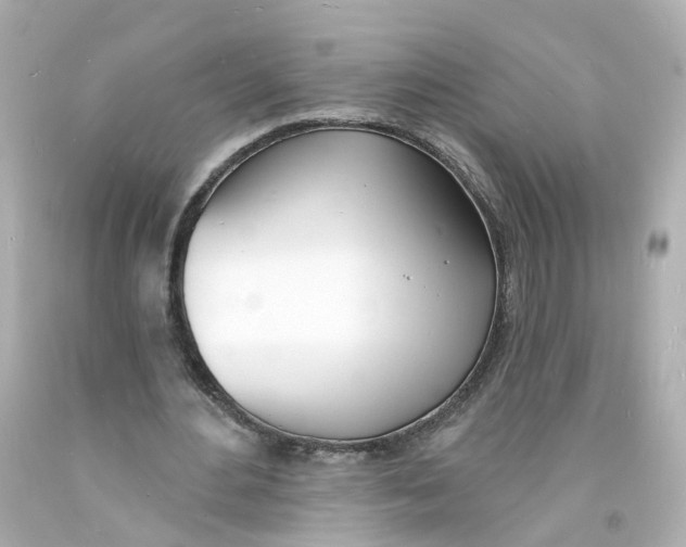 X0000093600484200711051201