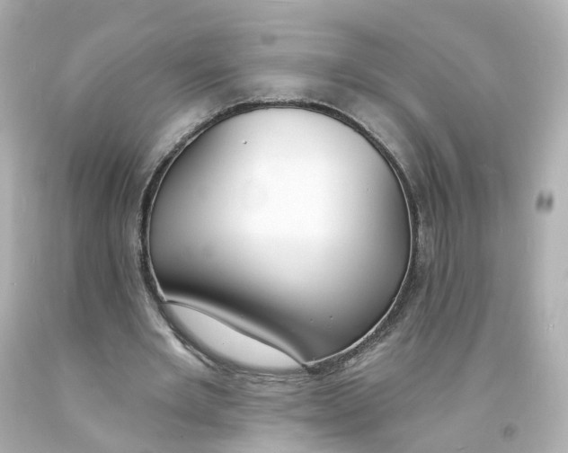 X0000093600485200711051201