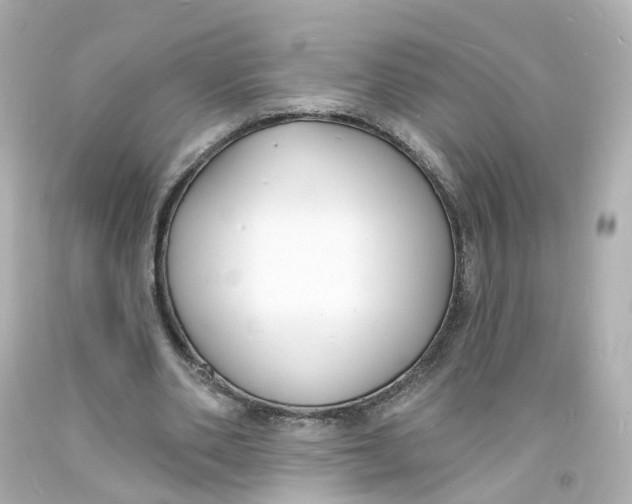 X0000093600486200711051201