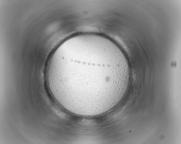 X0000093600487200711051201