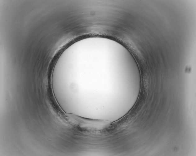 X0000093600488200711051201