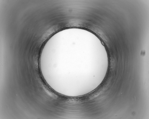 X0000093600489200711051201