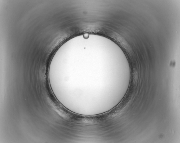 X0000093600490200711051201