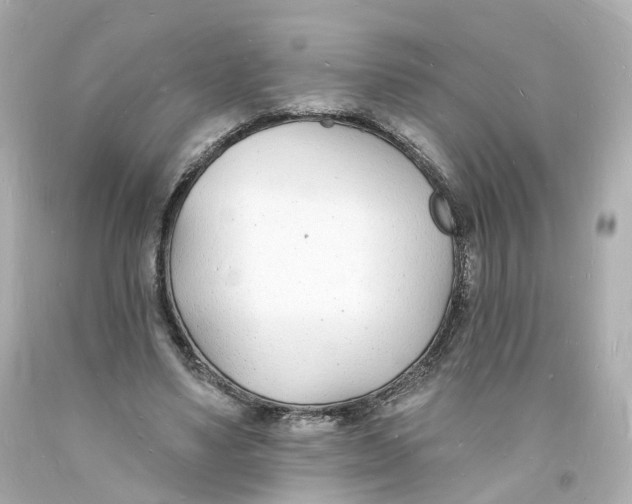 X0000093600491200711051201