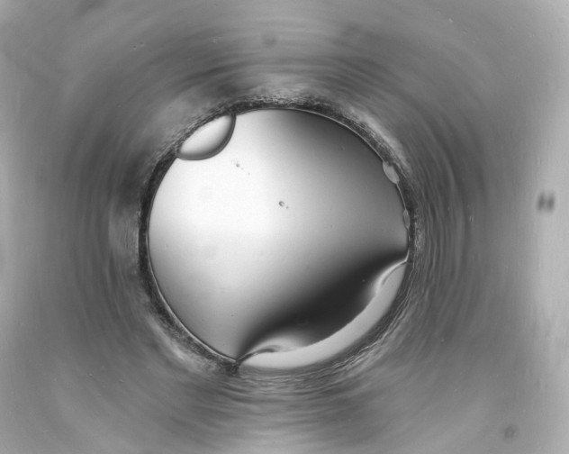 X0000093600493200711051201