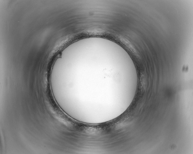 X0000093600494200711051201