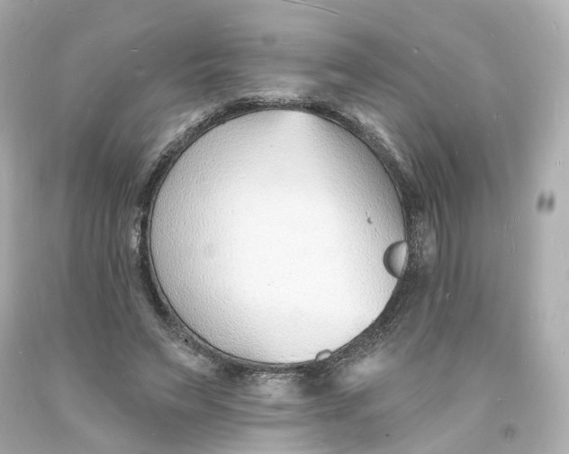 X0000093600495200711051201