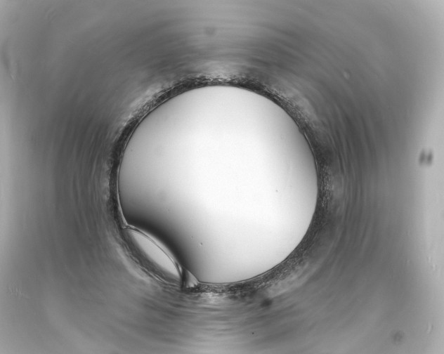 X0000093600496200711051201