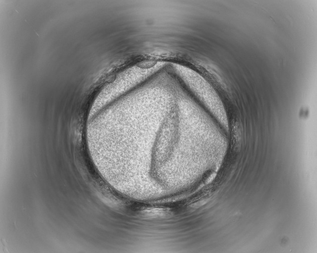 X0000093600499200711051201