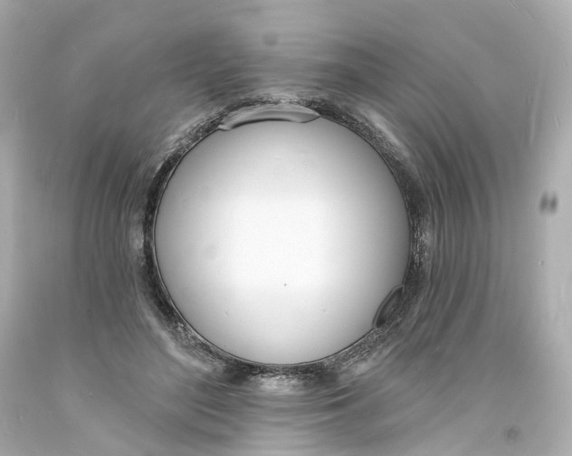 X0000093600500200711051201