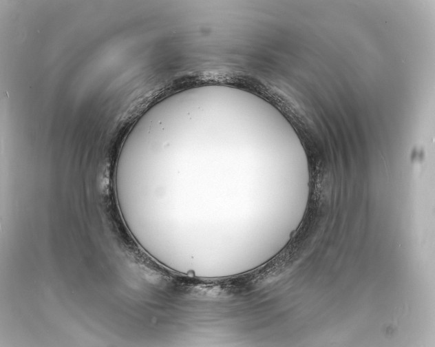 X0000093600502200711051201