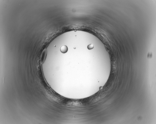 X0000093600503200711051201