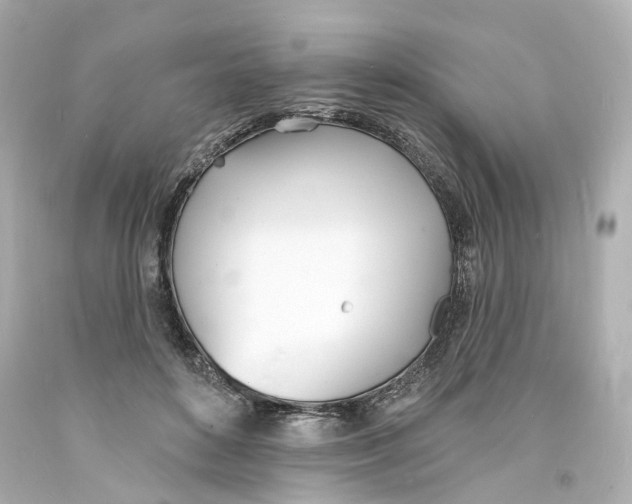 X0000093600504200711051201