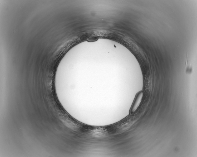 X0000093600505200711051201