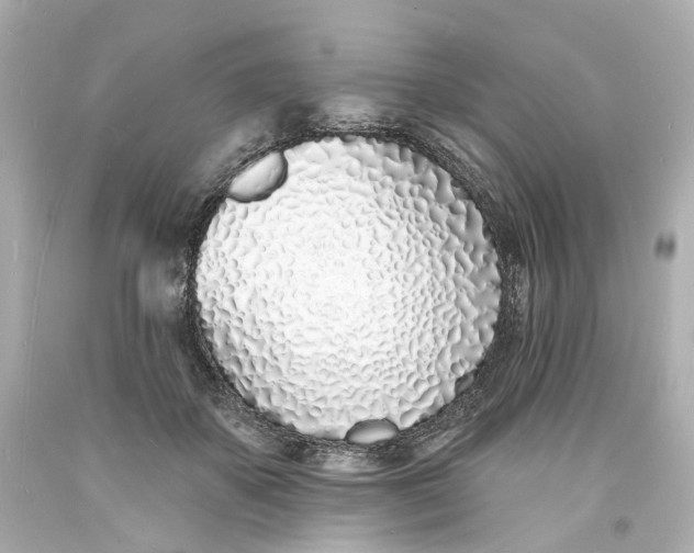 X0000093600507200711051201