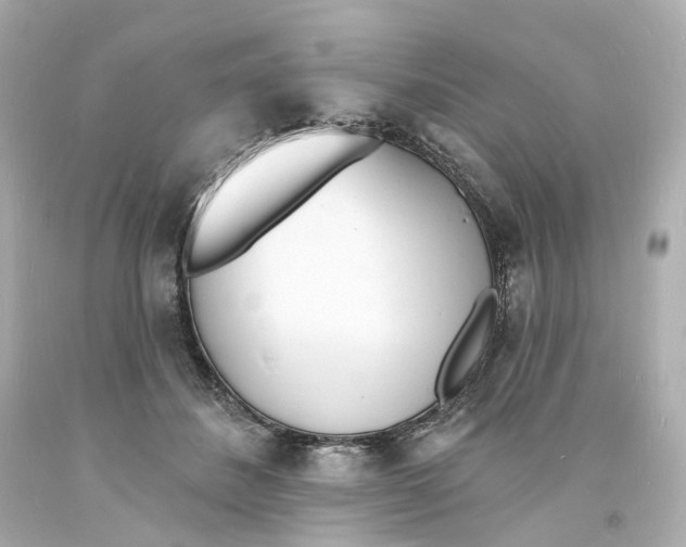 X0000093600508200711051201