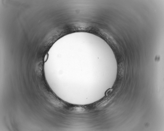 X0000093600509200711051201