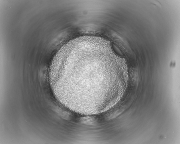 X0000093600511200711051201